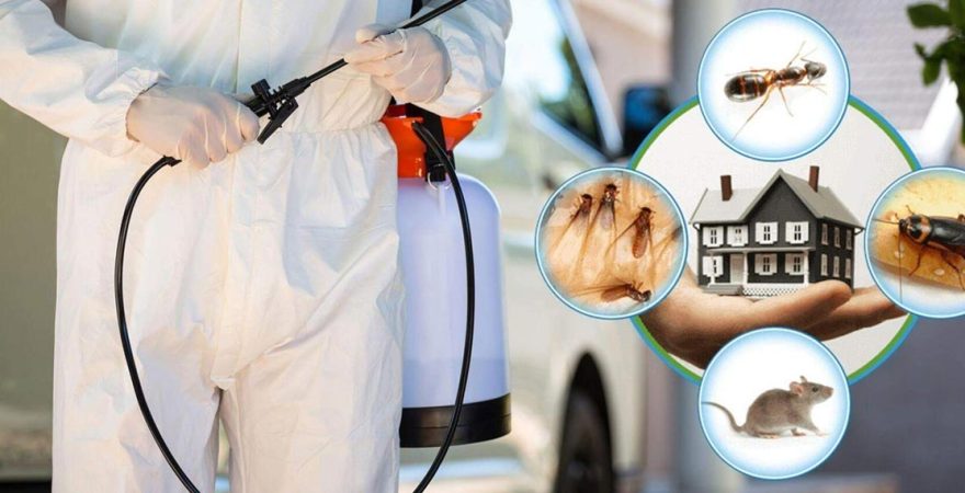 Germencik Böcek İlaçlama