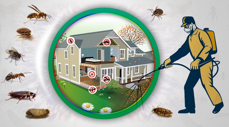 Germencik Böcek İlaçlama