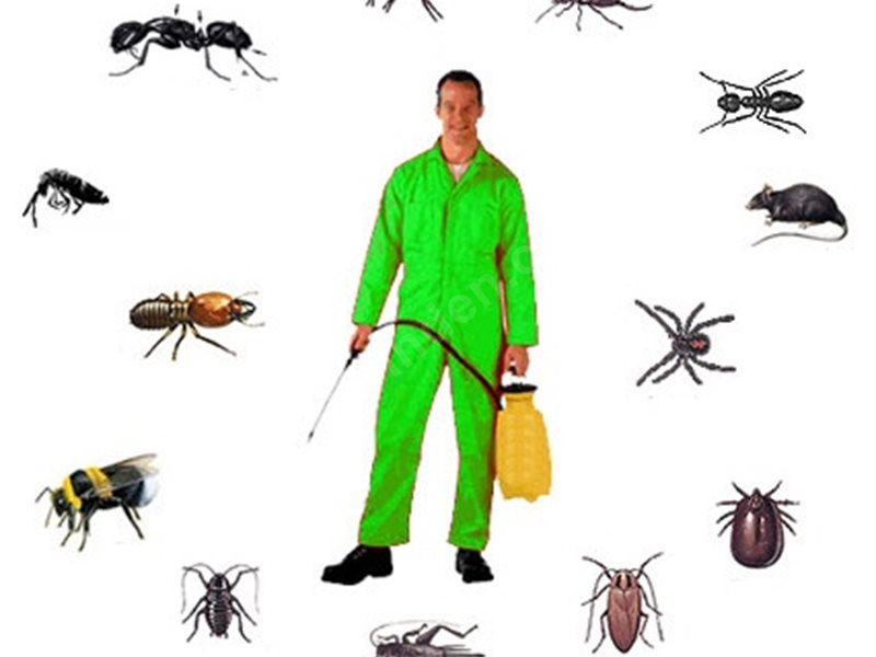 Germencik Böcek İlaçlama